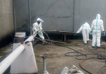professional Remediation and Decontamination Services services